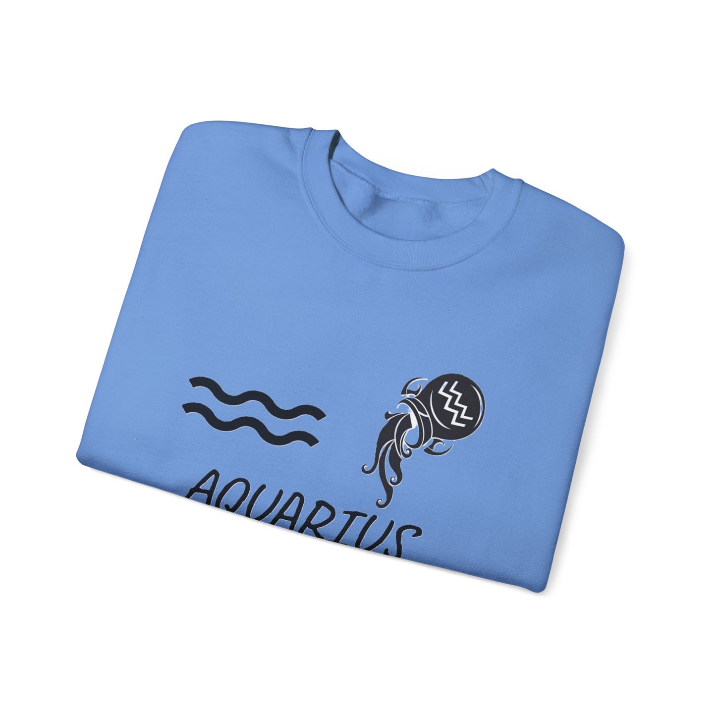 Aquarius Zodiac Sweatshirt