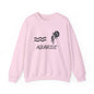 Aquarius Zodiac Sweatshirt